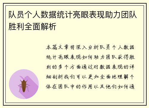 队员个人数据统计亮眼表现助力团队胜利全面解析