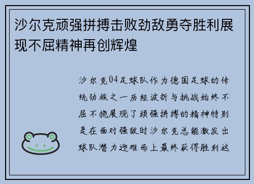 沙尔克顽强拼搏击败劲敌勇夺胜利展现不屈精神再创辉煌